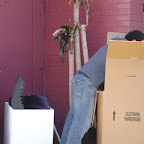 DSC04730.JPG