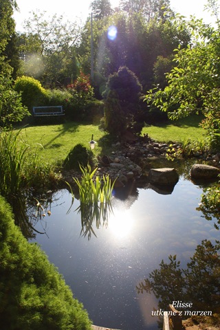 [IMG_3687-1%255B3%255D.jpg]