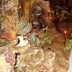 1494-8.JPG