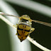 20120421cp_27