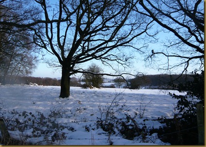 snow again3