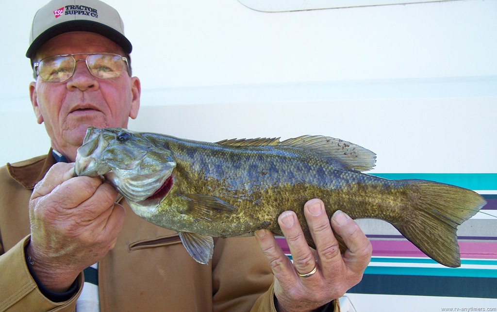 [Fish%2520Cropped%255B9%255D.jpg]