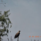 DSCN9669.JPG
