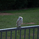 Cub Pack Holiday - Skreens Park 2012 - DSC_0144.jpg