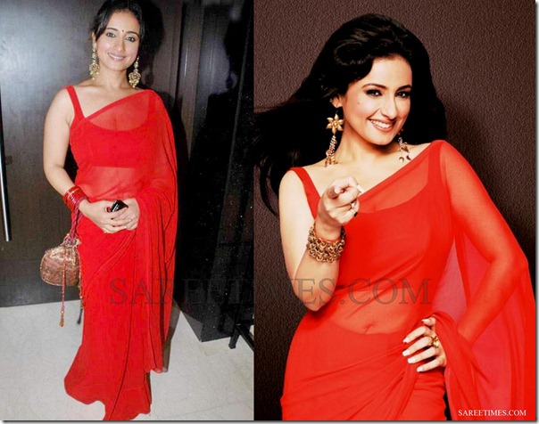 Divya_Dutta_Red_Plain_Saree