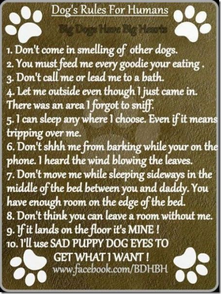 viral-picdump-pics-8