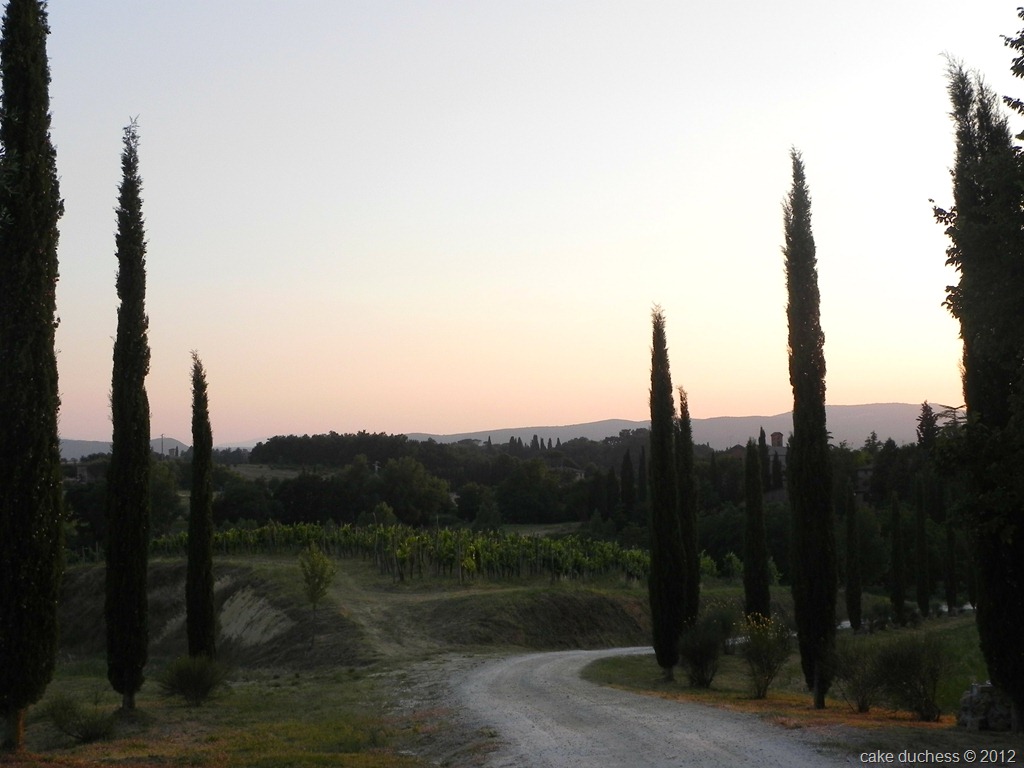 [siena-6%255B6%255D.jpg&description=Silent Sunday Italy: A Little Bit of Tuscany')]