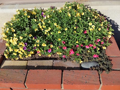 2014-10-18 08.49.07.jpg