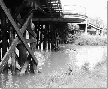 DSCN0883 DSCN0883