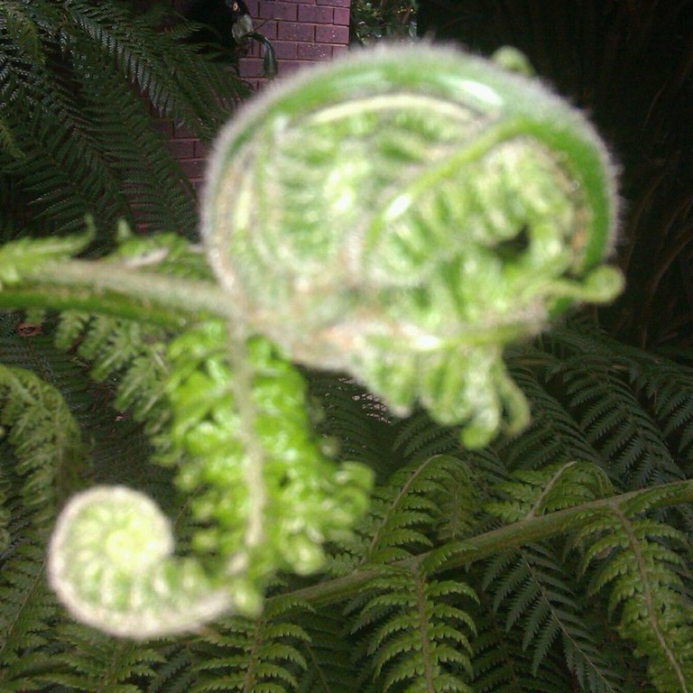 [Nov_3_2011_2152%255B4%255D.jpg]