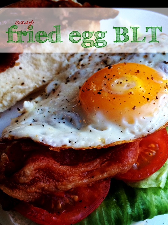 Fried Egg BLT 