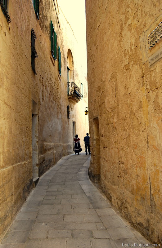 DSC_1138 DSC_1138