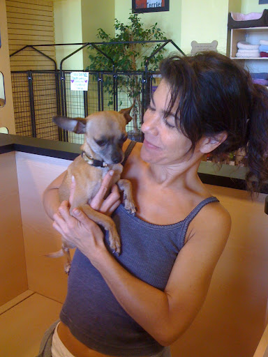 So off I went to meet and retrieve Gus!