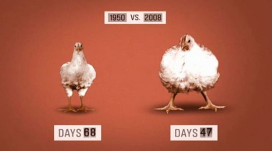 [viral-picdump-pics-10%255B2%255D.jpg]