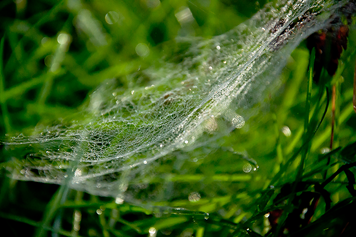 [DSC_0012%255B3%255D.png]