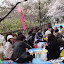DSC02190.JPG