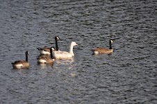 DSC_1973.JPG