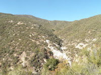 PC042377.JPG Photo