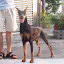 100_8342.jpg