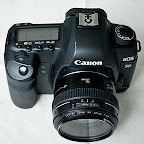 Canon 5D Mk II mit EF 50mm 1:1.4
