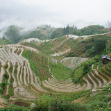 Rice Terraces in Guilin, Breathtaking. 2012-05-23 Dragons Back Guilin, China