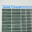 superleite2011_dia1607_35.JPG