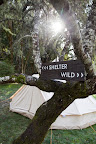 Luxury Pop-Up Camp Sites