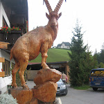 IMG_5369.JPG