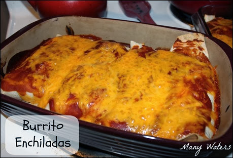 Burrito Enchiladas