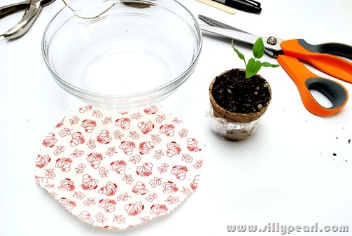 SeedlikngTeacherGift2