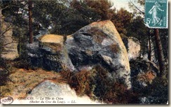 Nemours_Tête de chien Nemours_Tête de chien