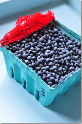 maine_blueberries maine_blueberries