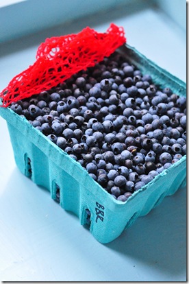 maine_blueberries