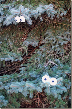 spooky tree eyes