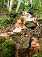 Adamavots Photo