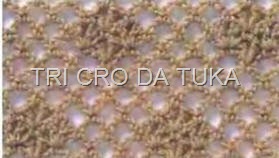 [ponto%25203%255B7%255D.jpg]