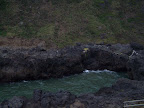 oregon_coast