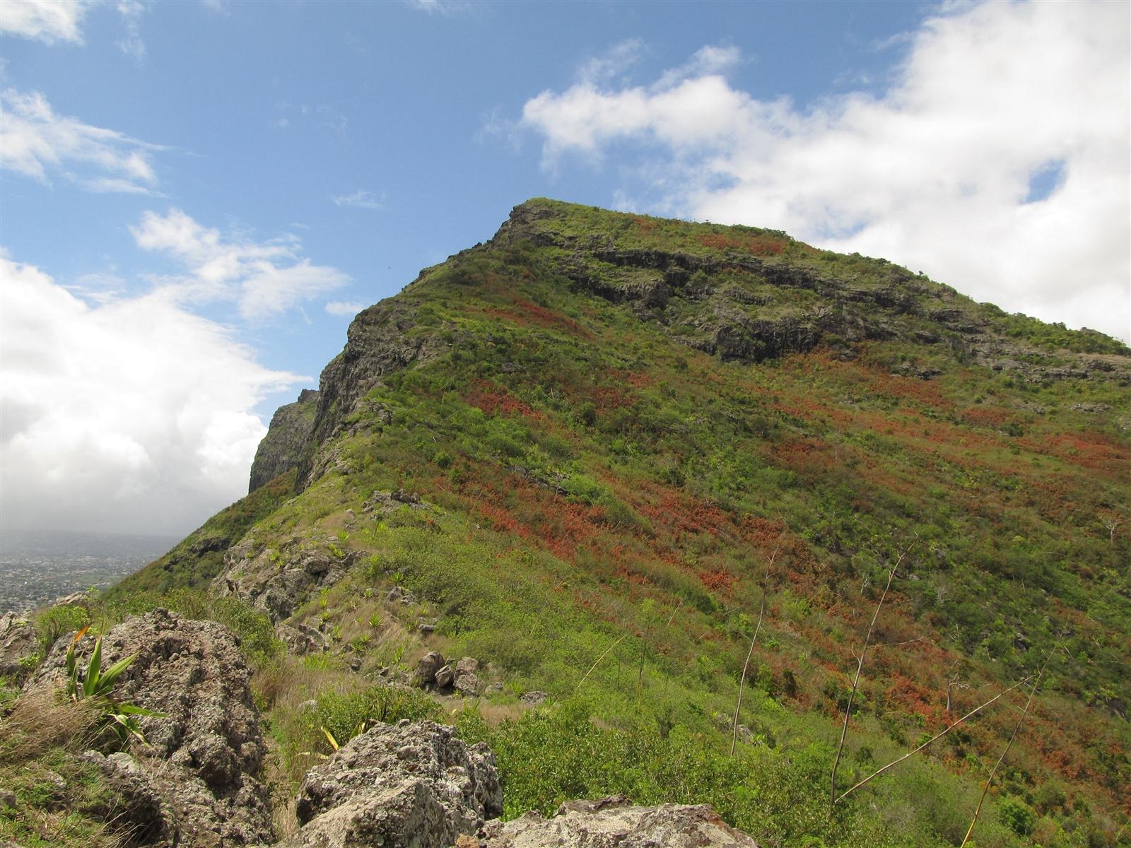 [img_3016%255B3%255D.jpg]