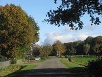 IMG_2146 IMG_2146