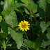 20120528_88