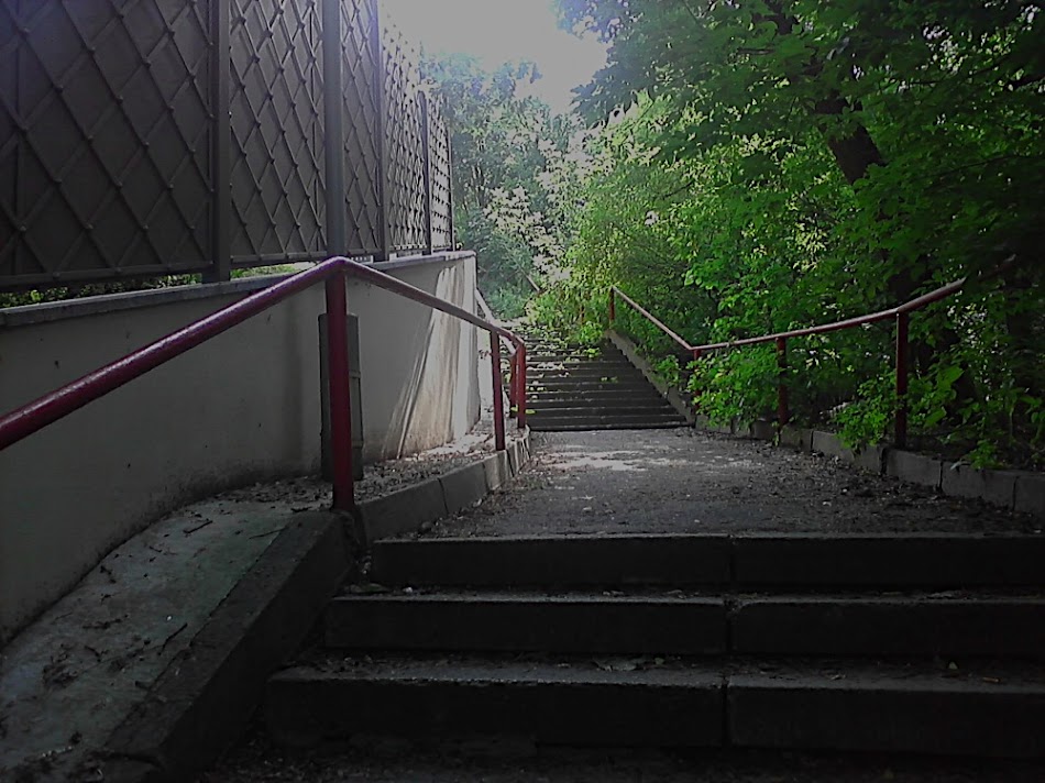 P300711_15.44.jpg