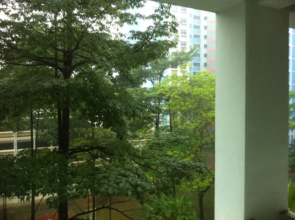 [IMG_7002%255B3%255D.jpg]