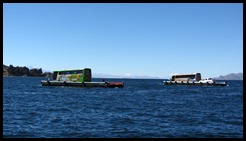 IMG_1957 IMG_1957