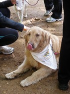 [C%25C3%25A3onhecendo%25206%2520%252857%2529%255B4%255D.jpg]