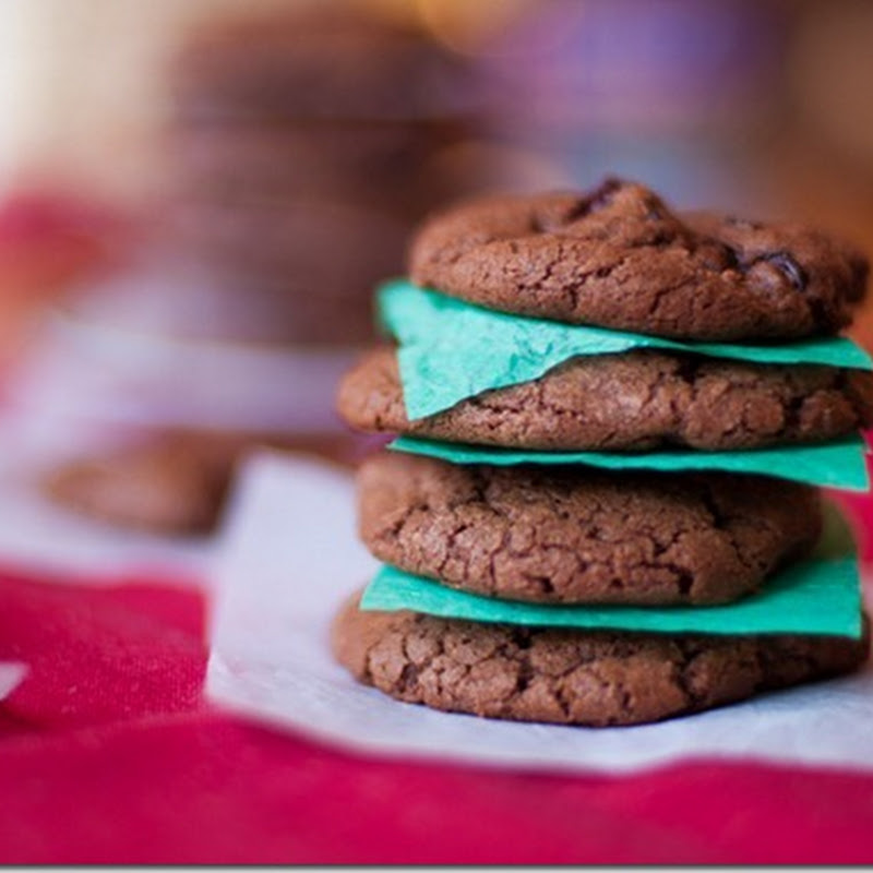 Chocolate and tart Cherry Cookies
