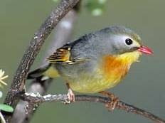 [rossigno_jp_122%255B4%255D.jpg]