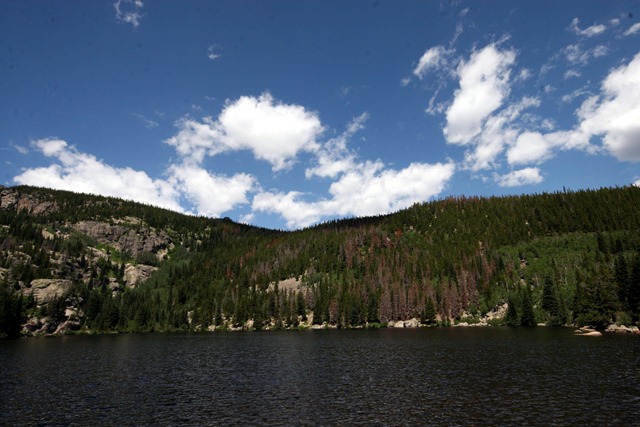 [IMG_1614%255B2%255D.jpg]