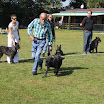 IMG_2929.JPG
