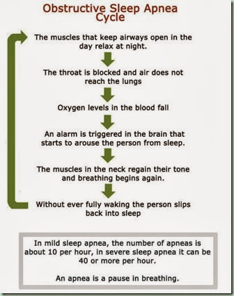 OSA cycle