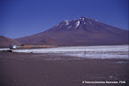 Tren17